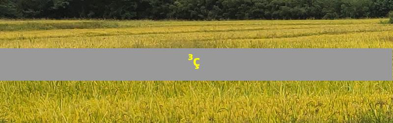 ³ç
