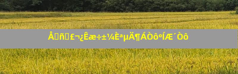 Å⥾ñʯ£¬¿Êæ÷±¼ÈªµÄ¶ÁÒôºÍÆ´Òô