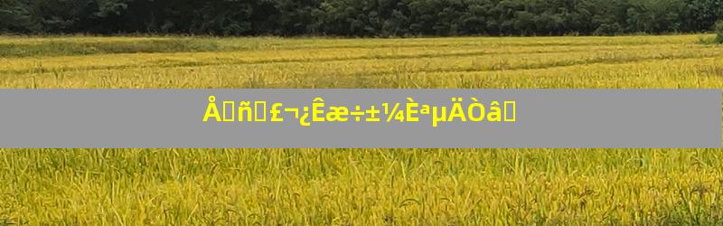 Å⥾ñʯ£¬¿Êæ÷±¼ÈªµÄÒâ˼