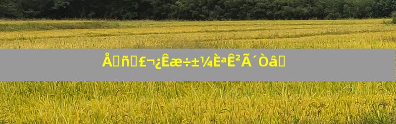 Å⥾ñʯ£¬¿Êæ÷±¼ÈªÊ²Ã´Òâ˼