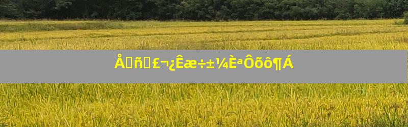 Å⥾ñʯ£¬¿Êæ÷±¼ÈªÔõô¶Á
