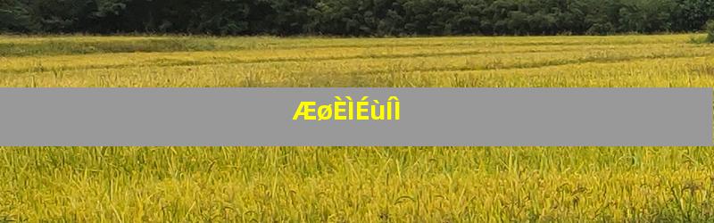 ÆøÈÌÉùÍÌ