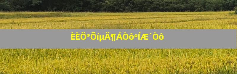 ÈÈÖ®ÕíµÄ¶ÁÒôºÍÆ´Òô