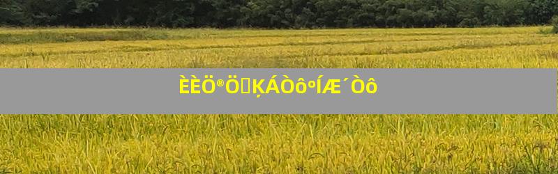 ÈÈÖ®ÖҵĶÁÒôºÍÆ´Òô