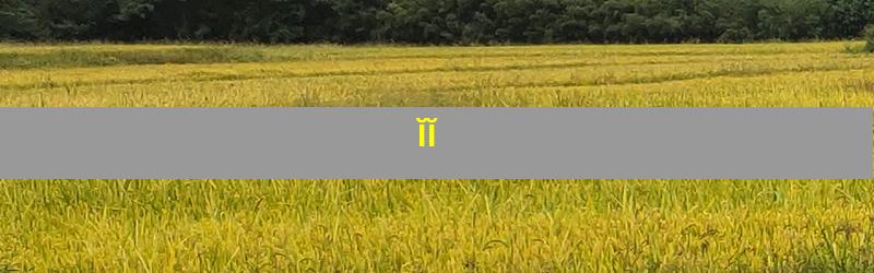 ĬĬ
