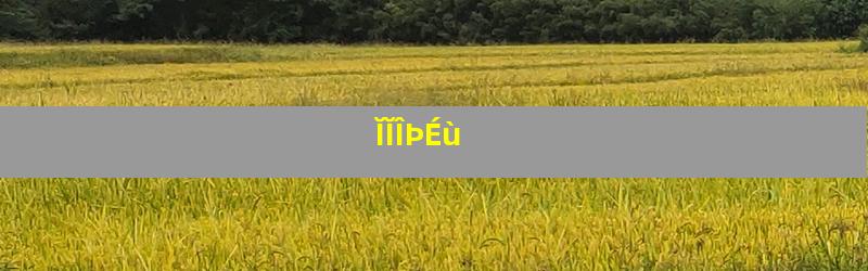 ĬĬÎÞÉù