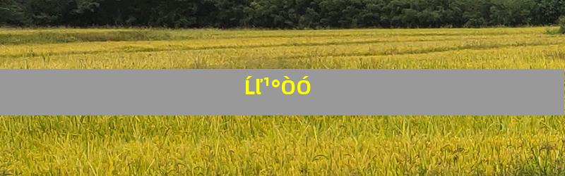 Ĺľ¹°ÒÓ