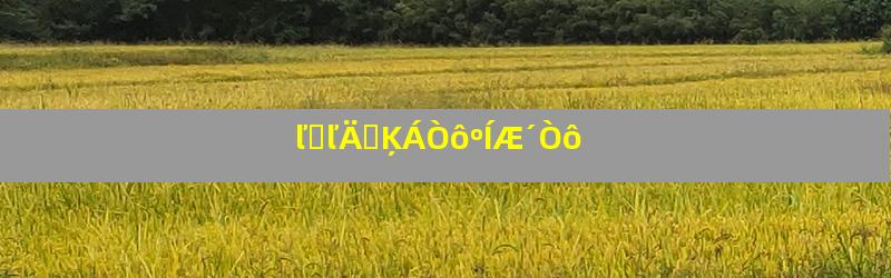 ľͷľÄԵĶÁÒôºÍÆ´Òô