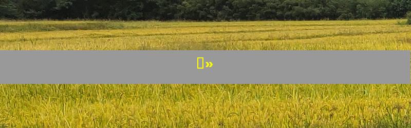 ƅ»