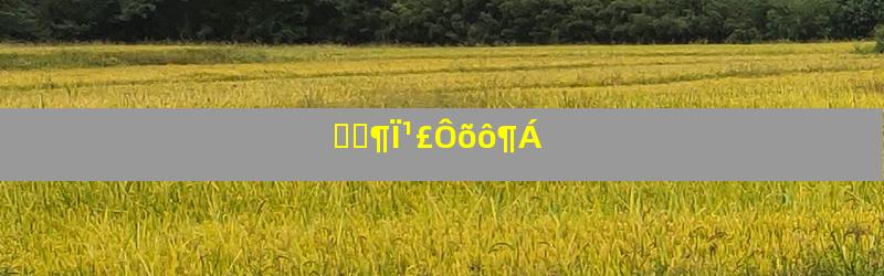 ƮƼ¶Ï¹£Ôõô¶Á