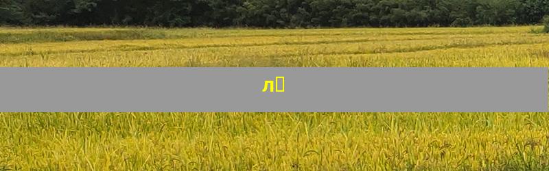 лȴ