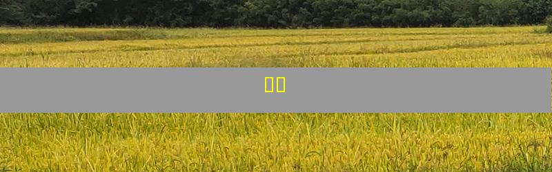 ާݽ