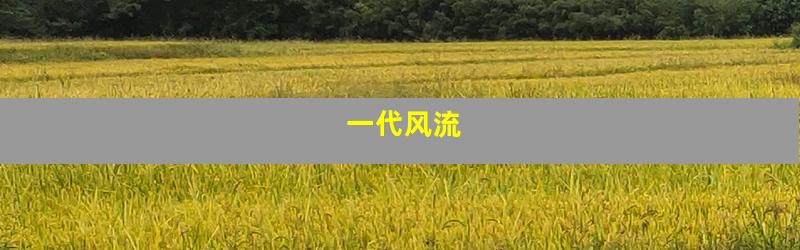 一代风流