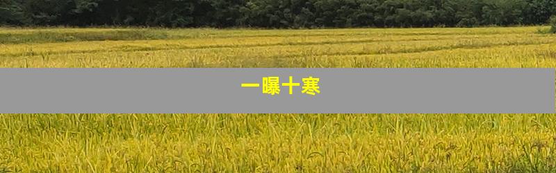 一曝十寒