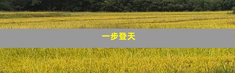 一步登天