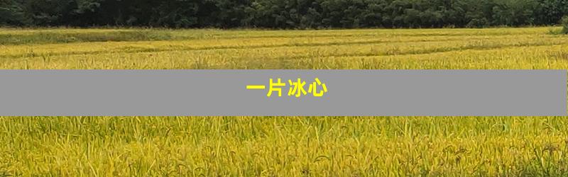 一片冰心