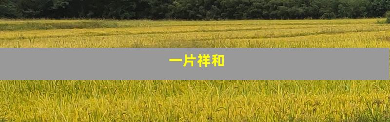 一片祥和
