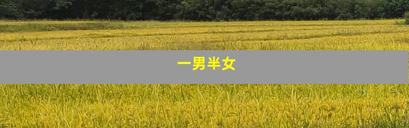 一男半女