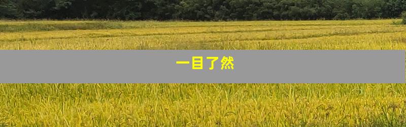一目了然