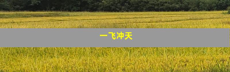 一飞冲天