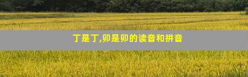 丁是丁,卯是卯的读音和拼音