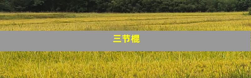 三节棍