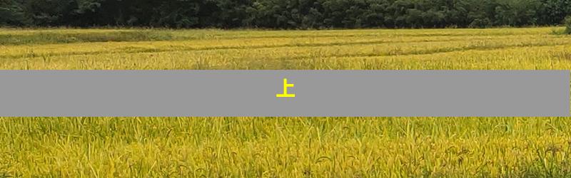 上