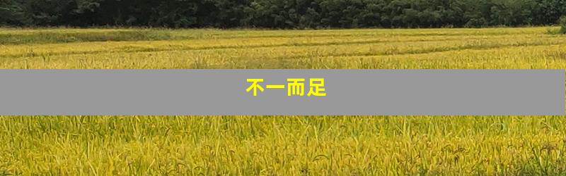 不一而足