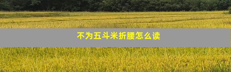 不为五斗米折腰怎么读