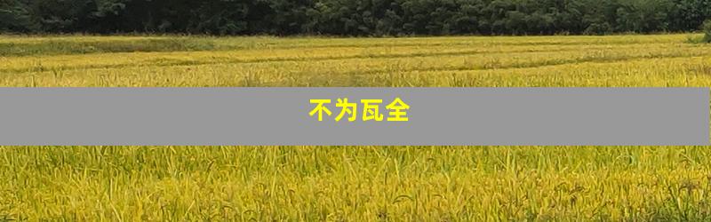 不为瓦全