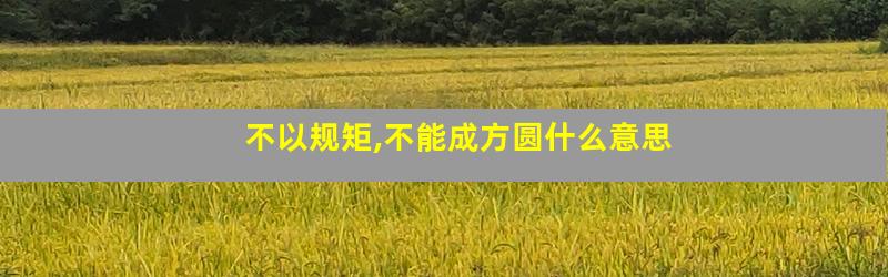 不以规矩,不能成方圆什么意思