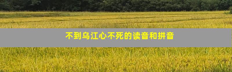 不到乌江心不死的读音和拼音
