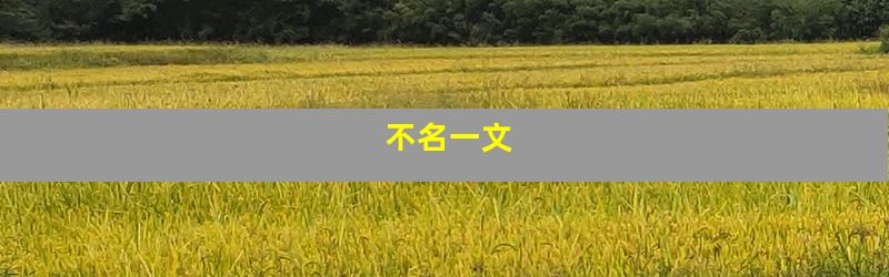 不名一文