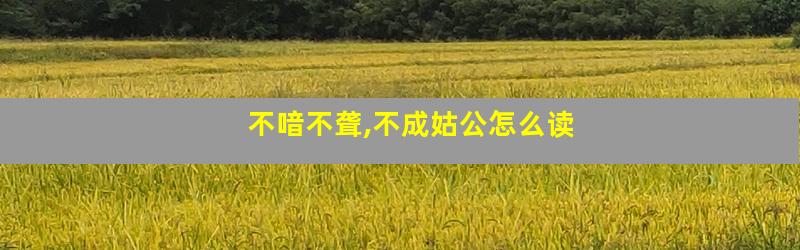 不喑不聋,不成姑公怎么读