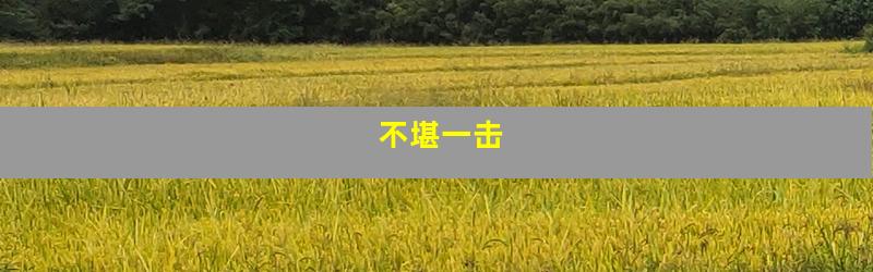 不堪一击