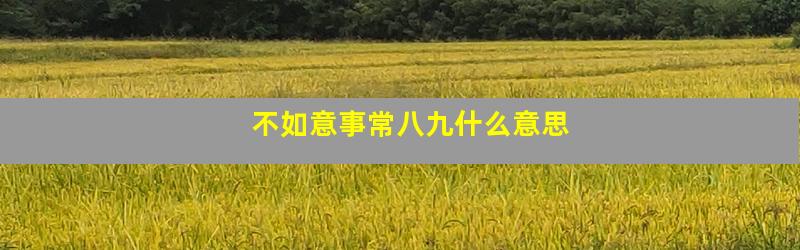 不如意事常八九什么意思