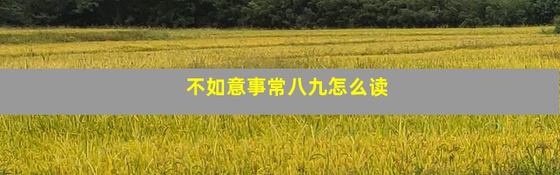 不如意事常八九怎么读