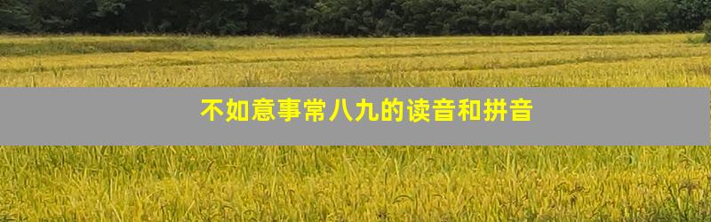不如意事常八九的读音和拼音