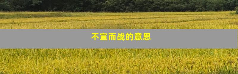 不宣而战的意思
