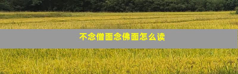 不念僧面念佛面怎么读