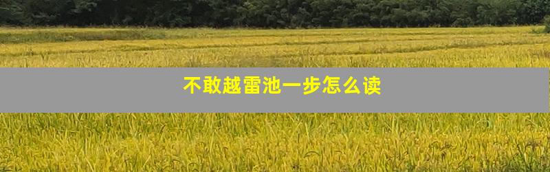 不敢越雷池一步怎么读