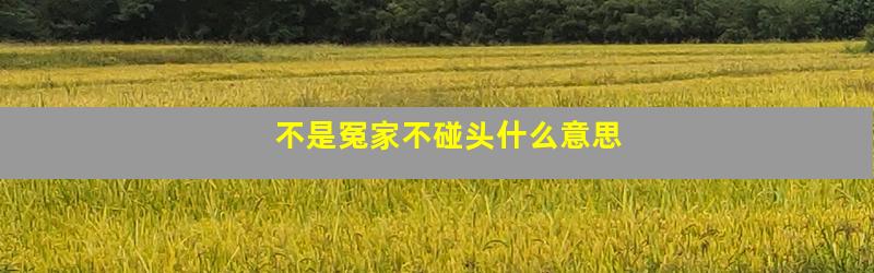 不是冤家不碰头什么意思