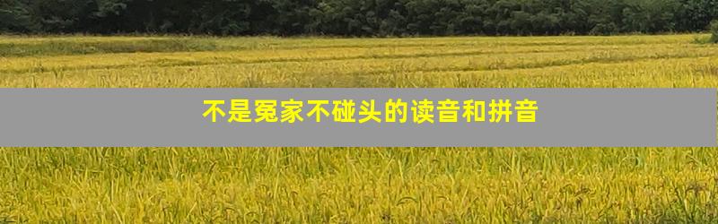 不是冤家不碰头的读音和拼音
