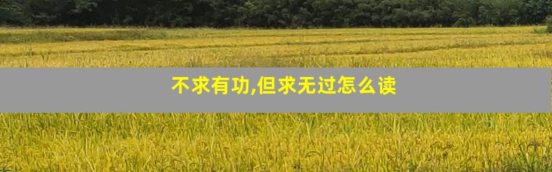 不求有功,但求无过怎么读