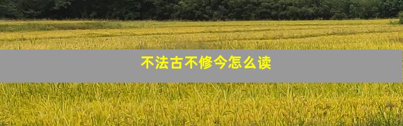 不法古不修今怎么读
