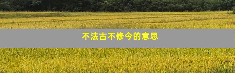 不法古不修今的意思