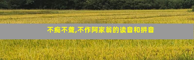 不痴不聋,不作阿家翁的读音和拼音