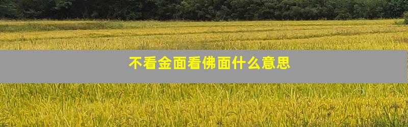 不看金面看佛面什么意思