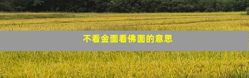 不看金面看佛面的意思