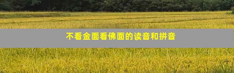 不看金面看佛面的读音和拼音